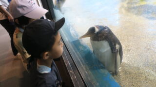 ペンギン水族館